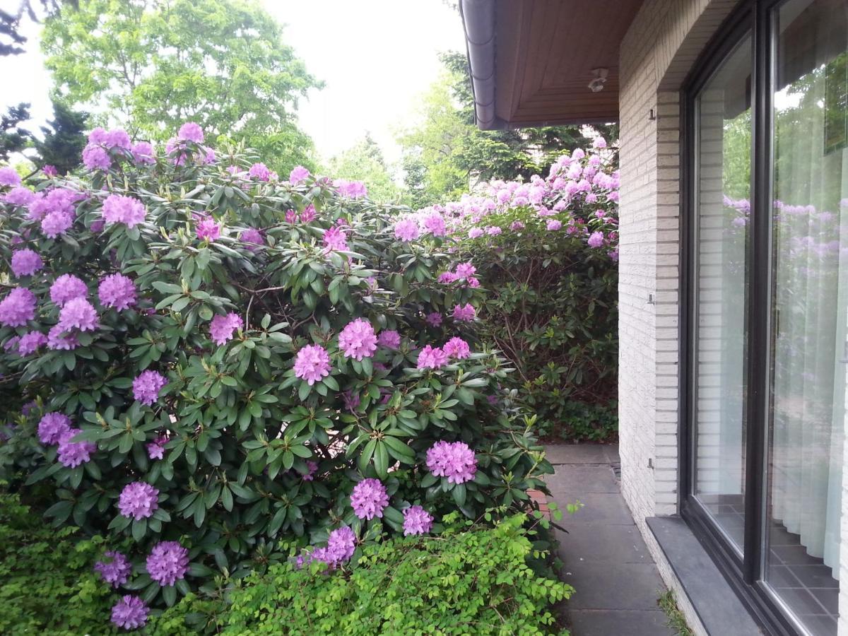 Apartment Schomaker-Fatmann Werlte Bagian luar foto